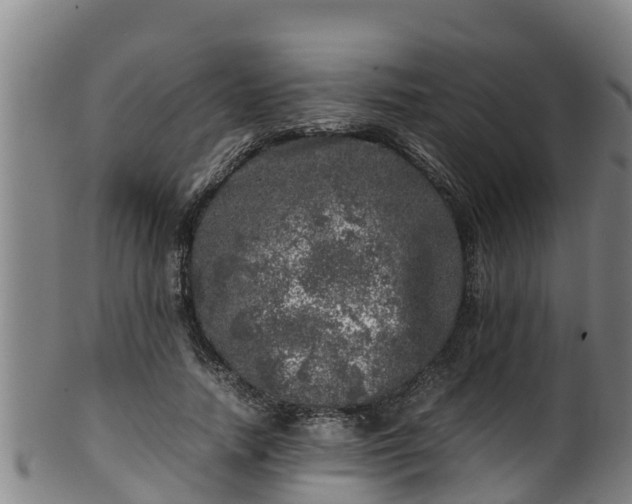 X0000100230738200806061408