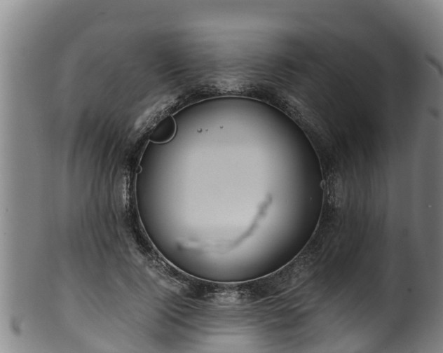 X0000100230740200806061409