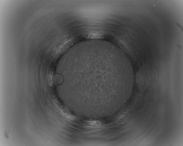 X0000100230741200806061409