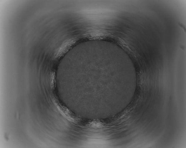 X0000100230742200806061409