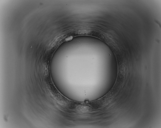 X0000100230743200806061409