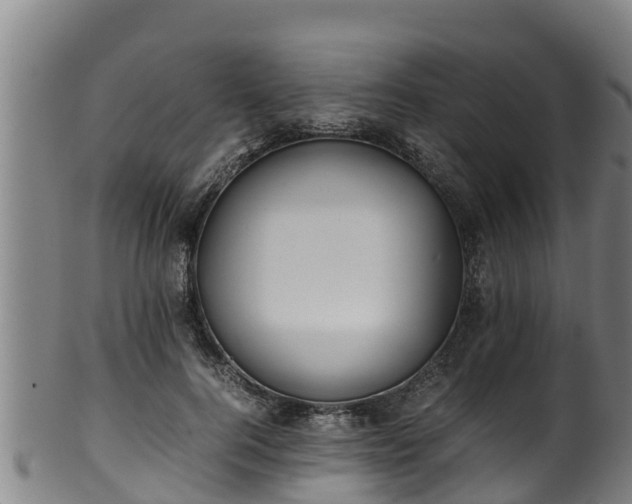 X0000100230744200806061409