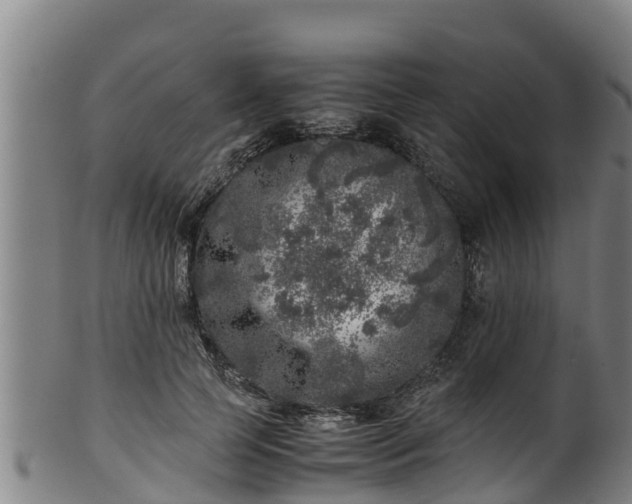 X0000100230745200806061409