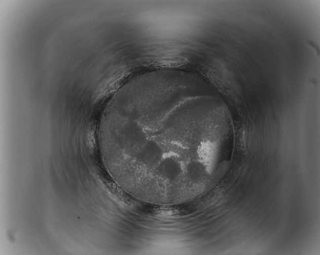 X0000100230746200806061409