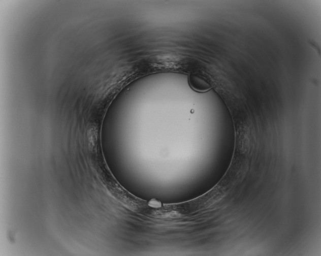 X0000100230747200806061409