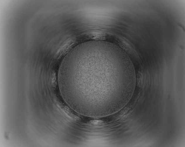 X0000100230748200806061409