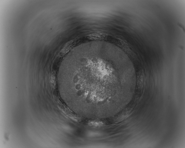 X0000100230749200806061409