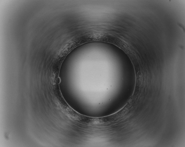 X0000100230750200806061409