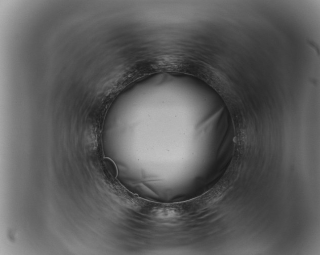 X0000100230751200806061409