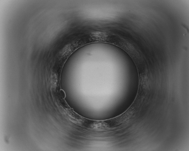 X0000100230752200806061409