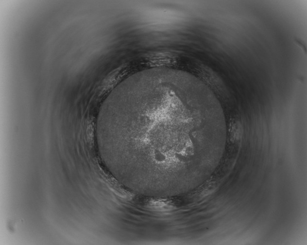 X0000100230753200806061409