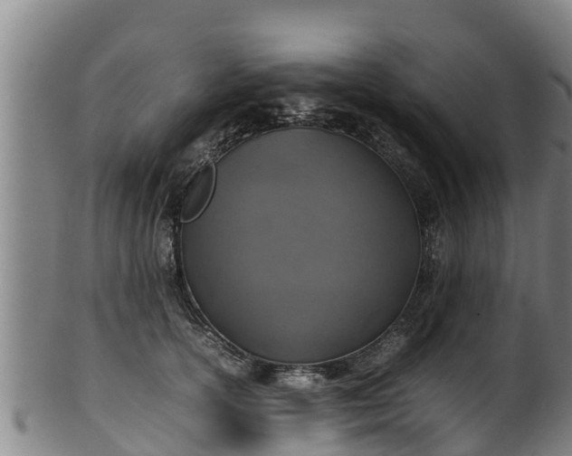 X0000100230754200806061409