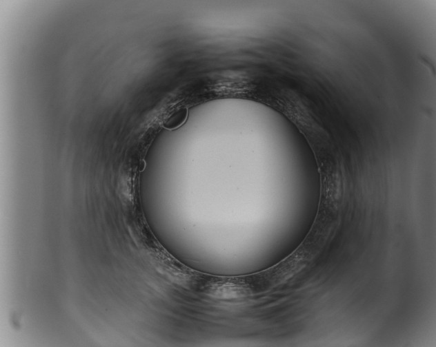 X0000100230755200806061409