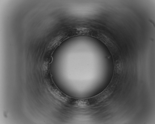 X0000100230756200806061409