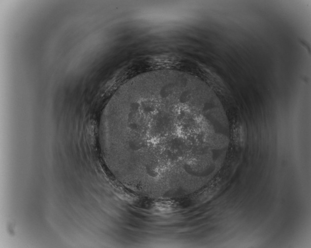 X0000100230757200806061409