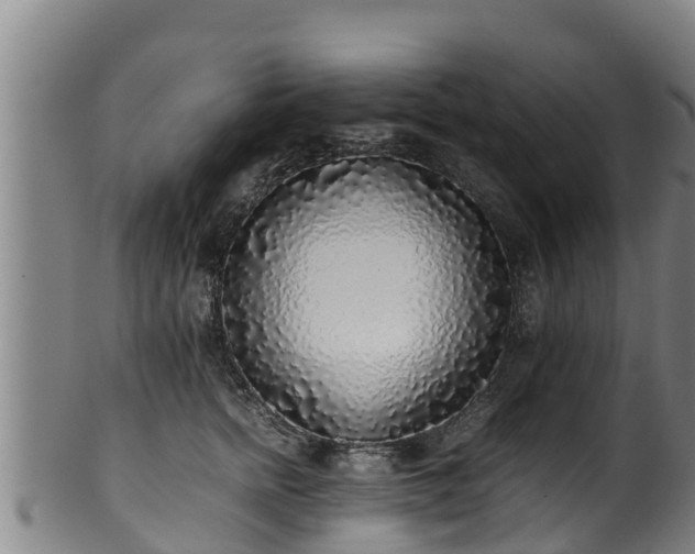 X0000100230758200806061409