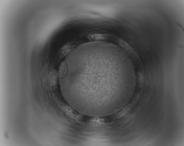 X0000100230760200806061409