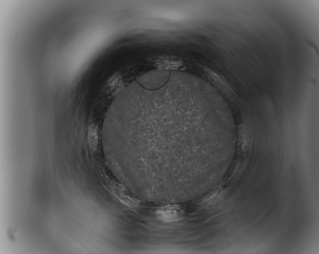 X0000100230761200806061409