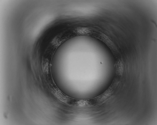 X0000100230762200806061409