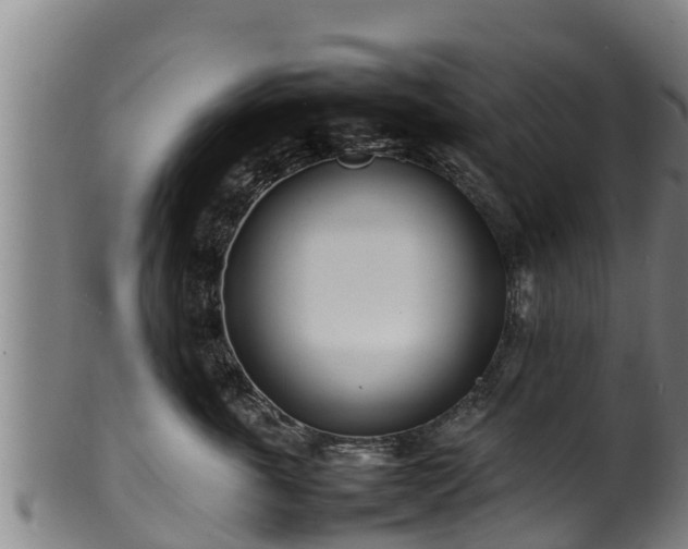 X0000100230763200806061409