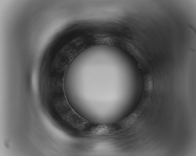 X0000100230764200806061409