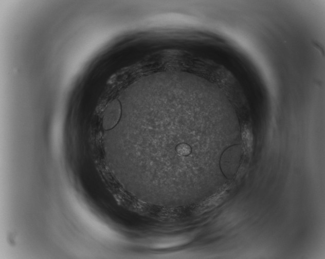 X0000100230765200806061409