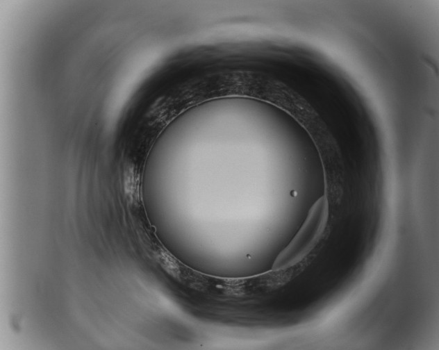 X0000100230766200806061409