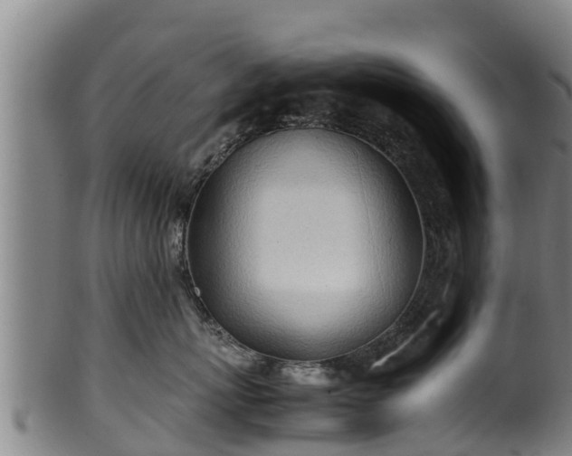 X0000100230767200806061409