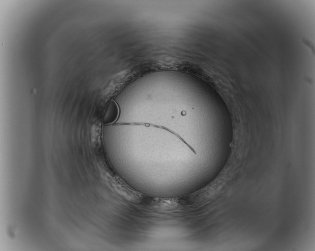 X0000100230768200806061409