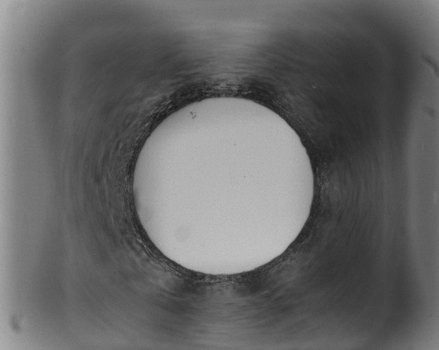 X0000100230769200806061408