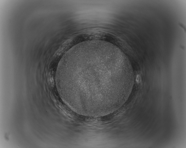 X0000100230771200806061408