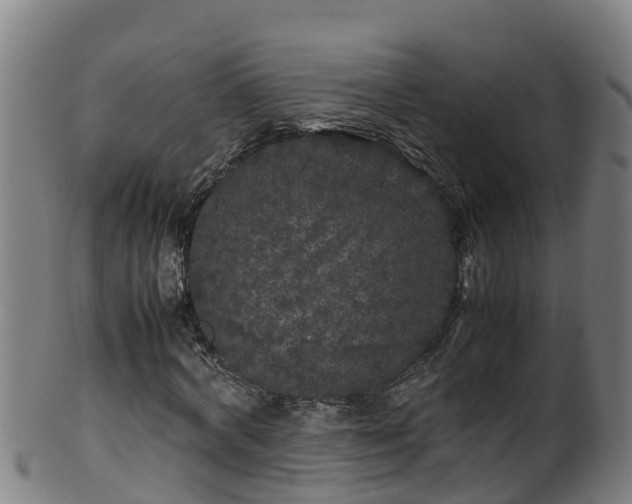 X0000100230772200806061408