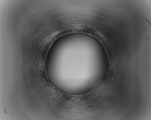 X0000100230773200806061408