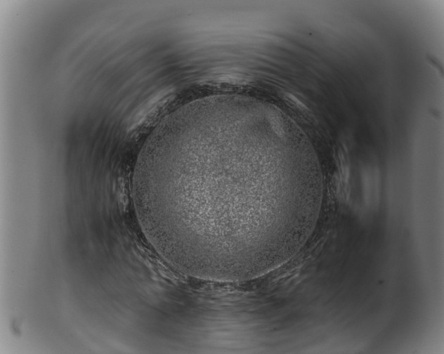 X0000100230774200806061408