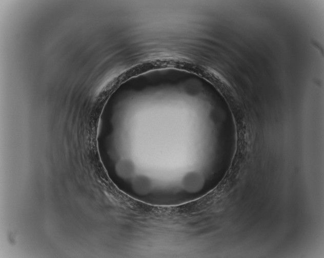 X0000100230775200806061408