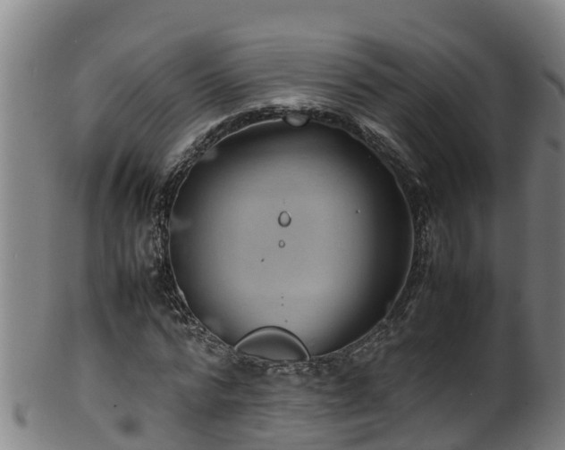 X0000100230776200806061408