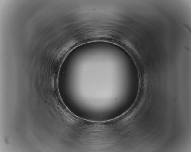 X0000100230777200806061408