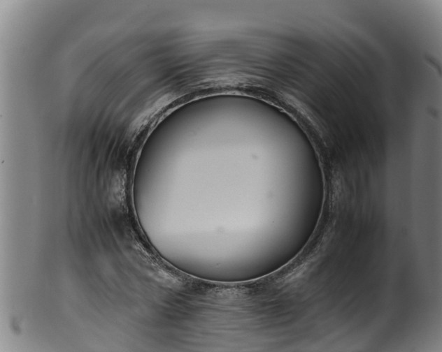 X0000100230778200806061408