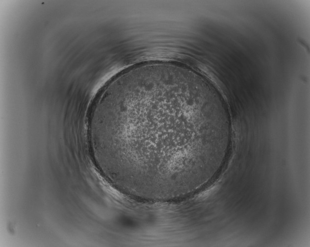 X0000100230779200806061408