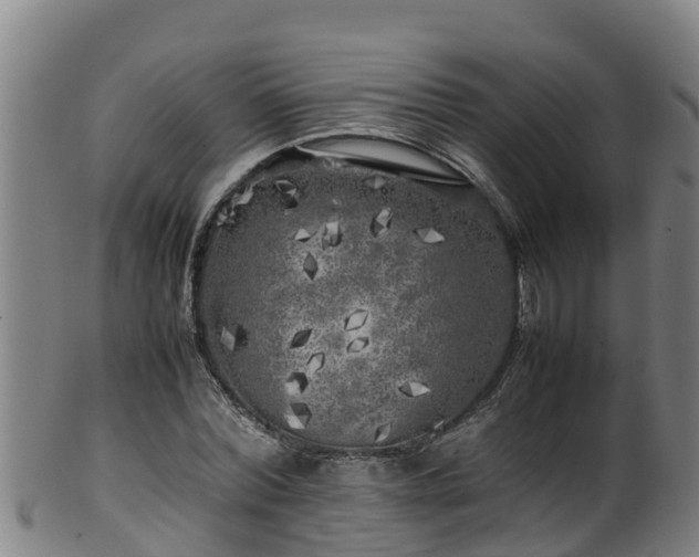 X0000100230780200806061408