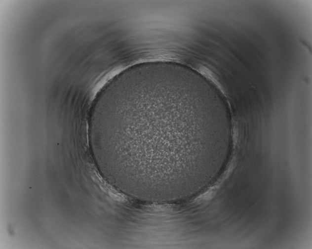 X0000100230781200806061408