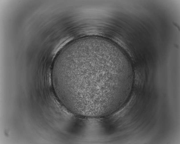 X0000100230782200806061408