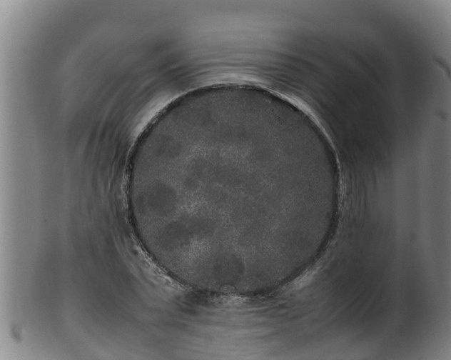 X0000100230783200806061408