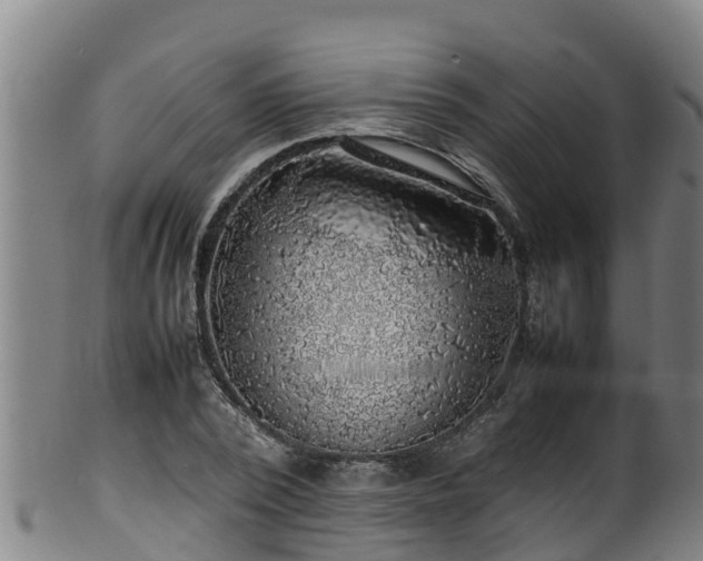 X0000100230784200806061408