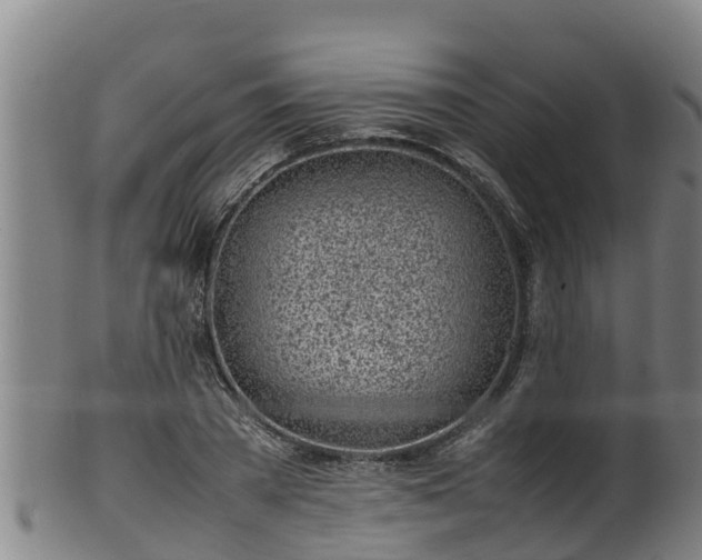 X0000100230785200806061408