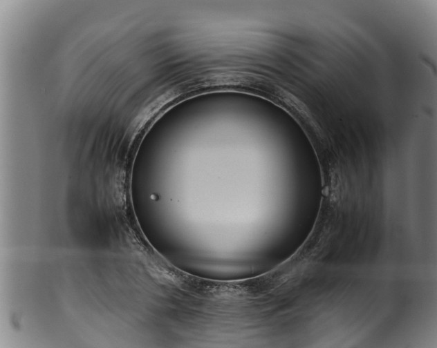 X0000100230786200806061408