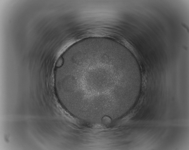 X0000100230787200806061408