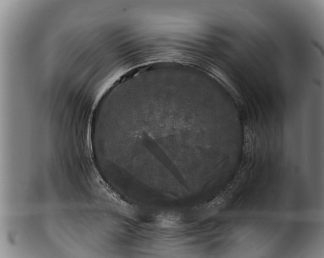 X0000100230788200806061408