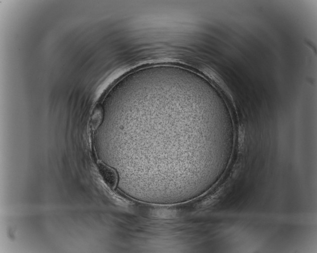 X0000100230789200806061408