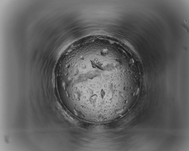 X0000100230791200806061408